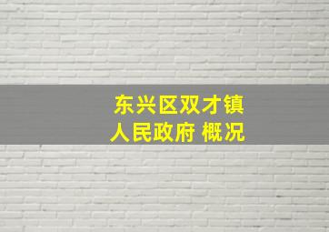 东兴区双才镇人民政府 概况